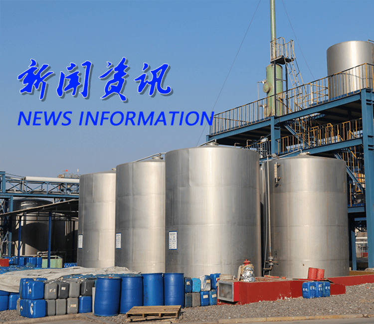 新聞資訊